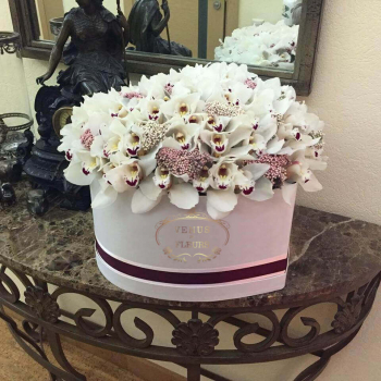 Орхидеи в сердце от 51 шт.