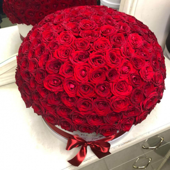 301 красная роза в коробке - шар
