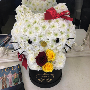 Кошка из белых хризантем - 41 шт.