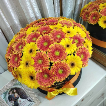 Герберы в коробке от 25 шт. Герберы в коробке от 25 шт.