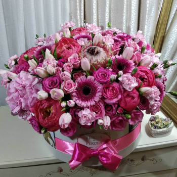 Прикосновение от 71 шт.