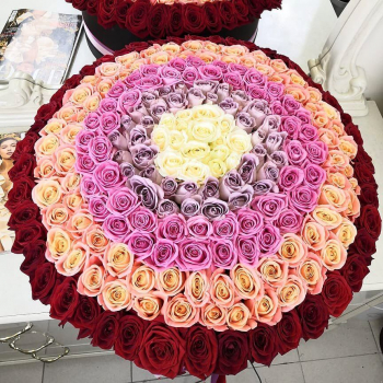 Радуга любви из роз от 101 шт.
