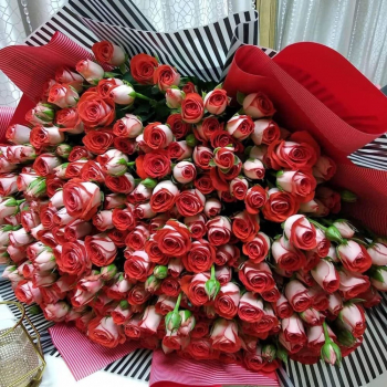 Красные кустовые розы от 9 шт.