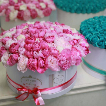 Розовые пионы в коробке от 9 шт.