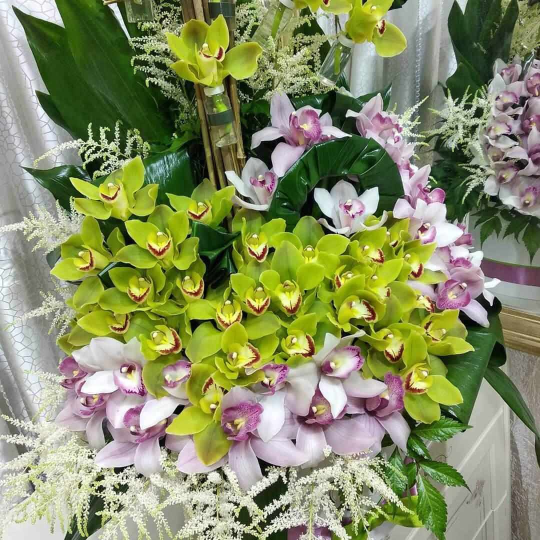 Шикарный микс из орхидей - 61 шт.