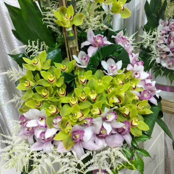 Шикарный микс из орхидей - 61 шт.