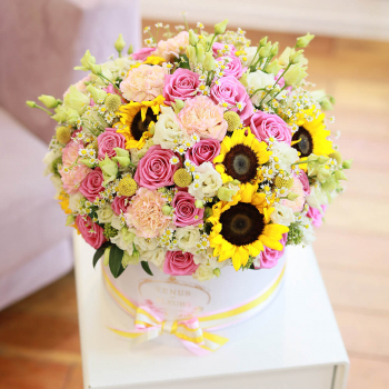 Краски солнца от 51 шт.