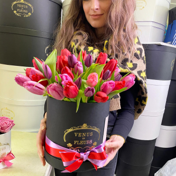 Красно-фиолетовые тюльпаны от 51 шт