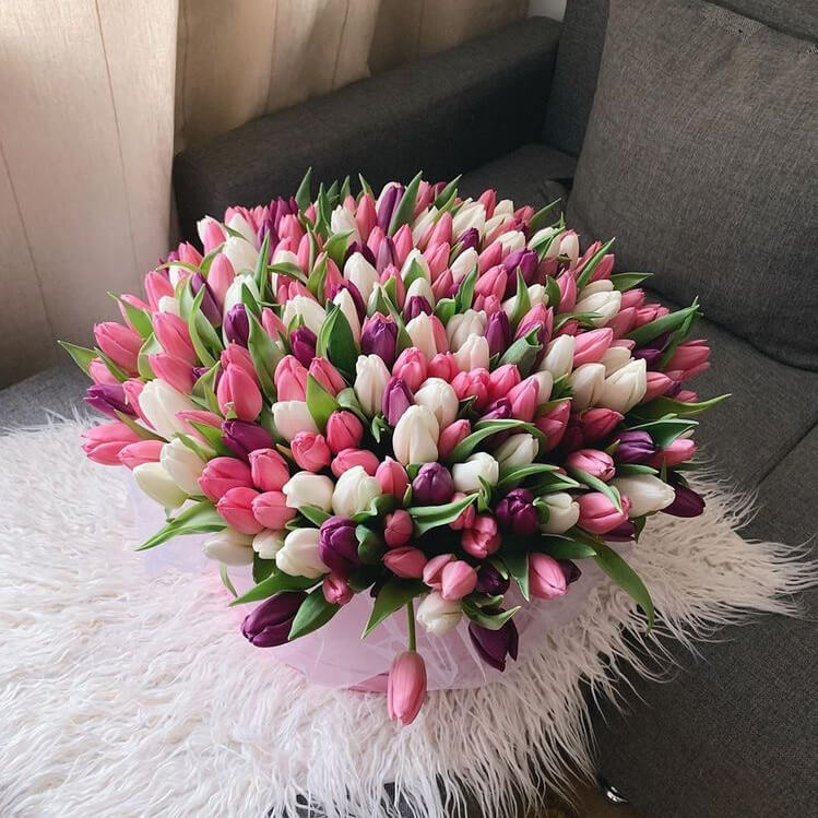 Микс из тюльпанов - 201 шт.