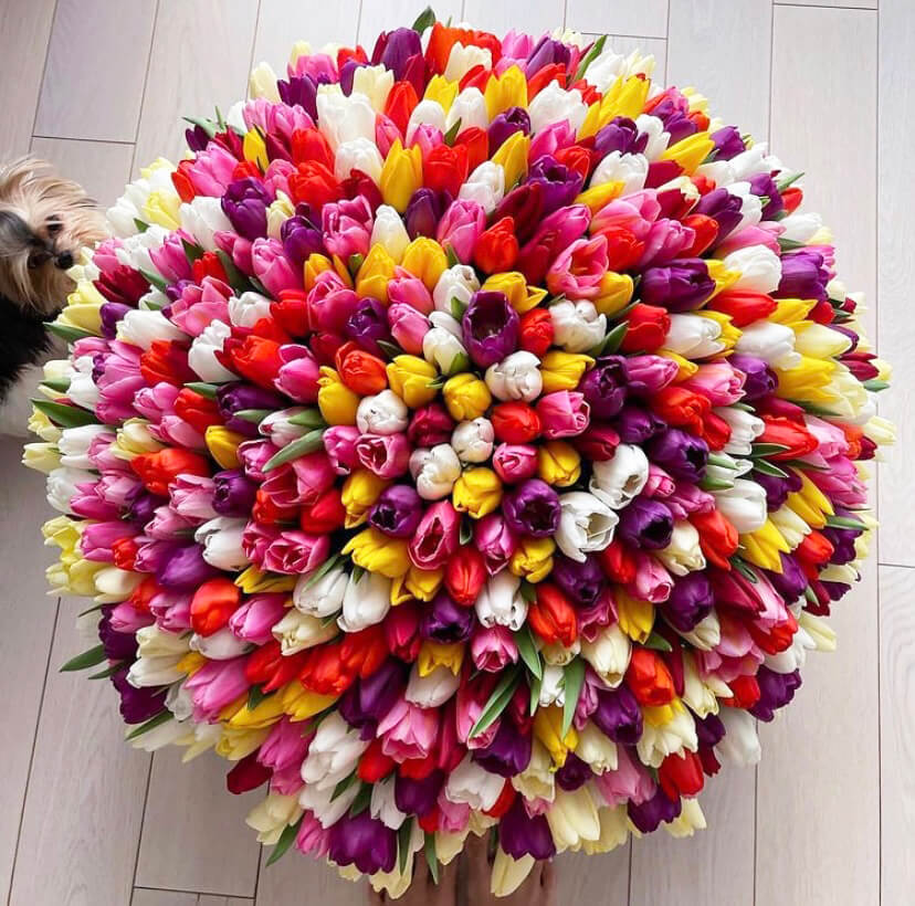 Разноцветные тюльпаны в коробке - 501 шт.