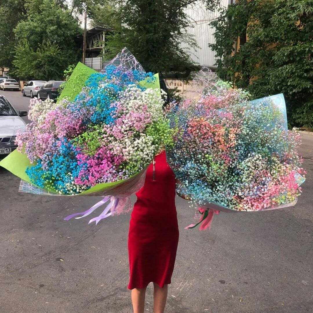 Разноцветная гипсофила - 81 шт.