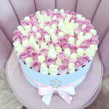 Бело-розовые розы в коробке - 101 шт.