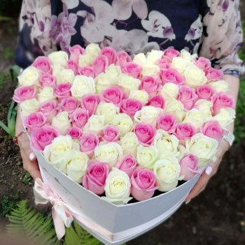 101 бело-розовая роза - сердце 101 бело-розовая роза - сердце