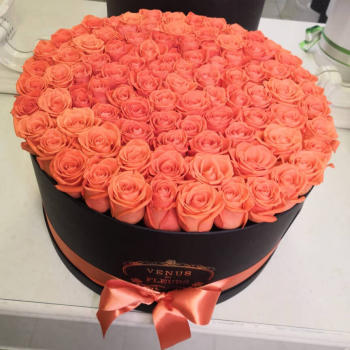 101 коралловая роза в коробке