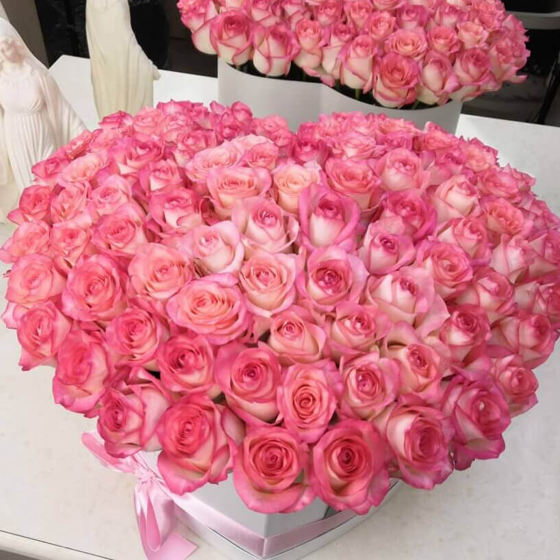 101 розовая роза - сердце