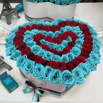 101 красно-бирюзовая роза