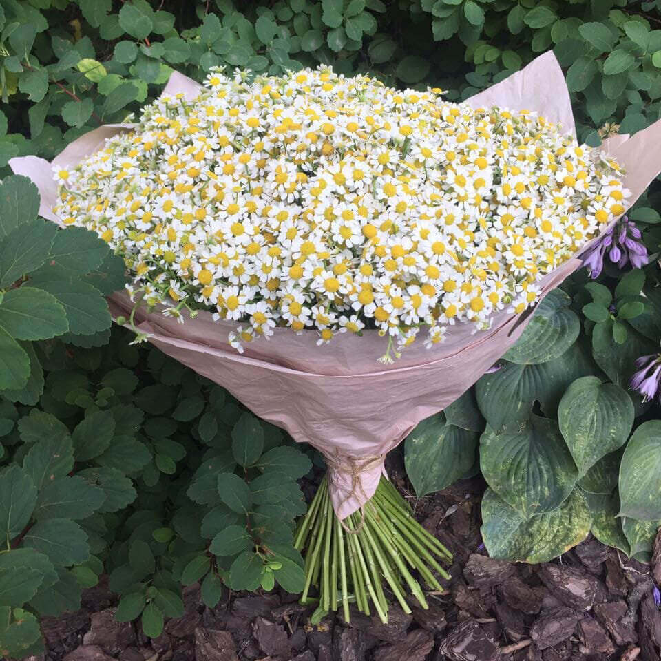 101 ромашка в букете