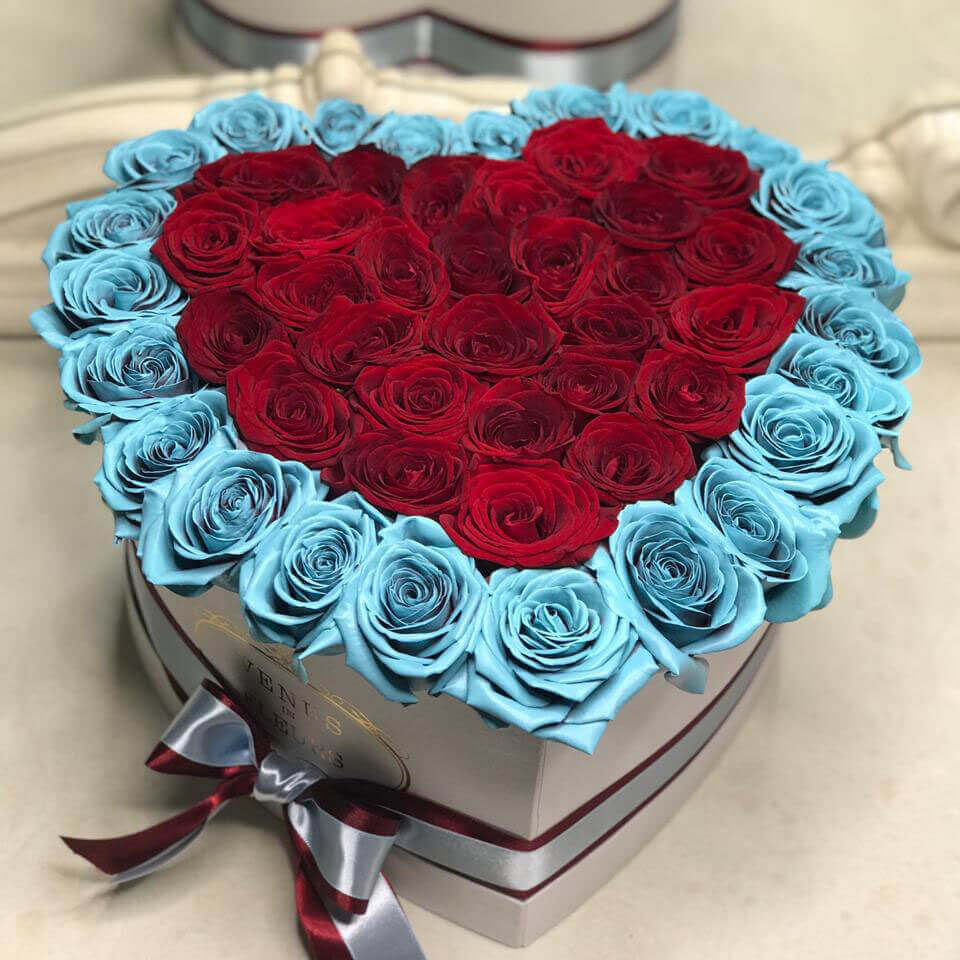 65 красных роз с голубой окантовкой