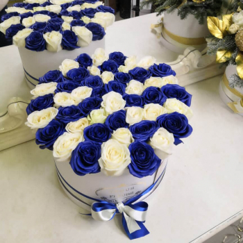 51 бело-синяя роза в коробке