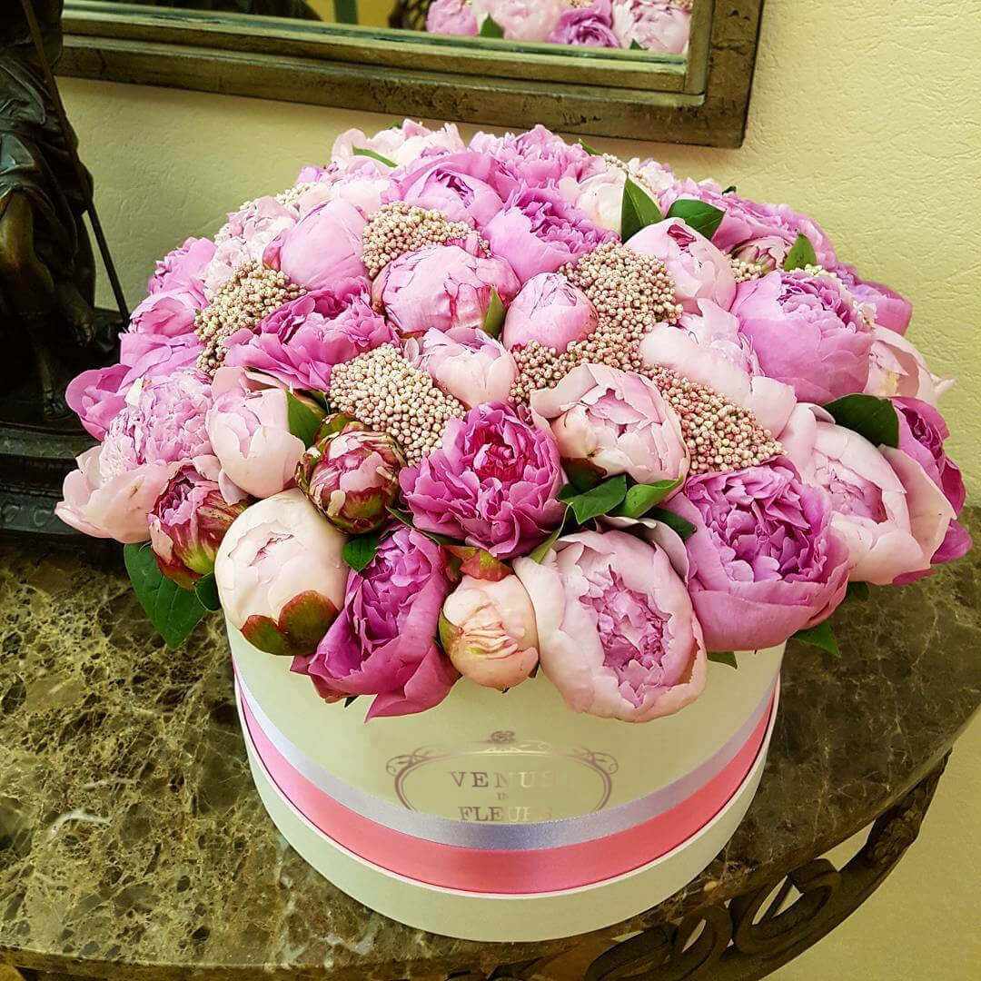 41 пион микс в коробке