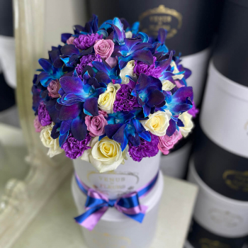 Голубая лагуна - 51 шт.