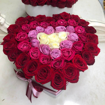 51 роза - нежная радуга