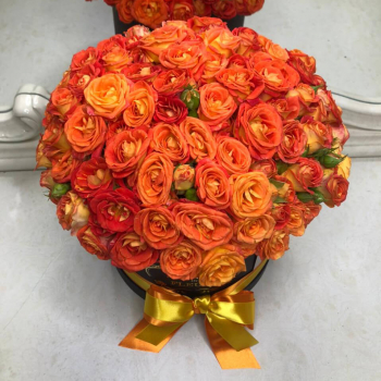 Оранжевые кустовые розы от 29 шт.