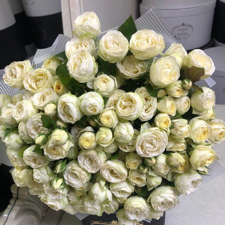 Белые пионовидные розы от 9 шт.