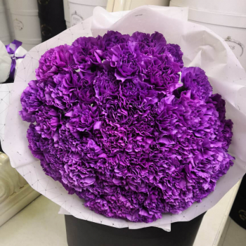 51 фиолетовая гвоздика в букете