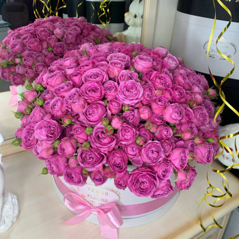 Розовые пионовидные от 9 шт.