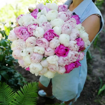 51 пион нежно-розовый в букете