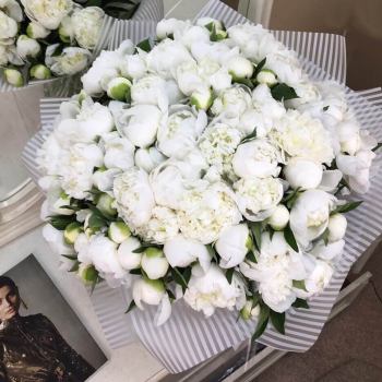 51 пион белый в букете