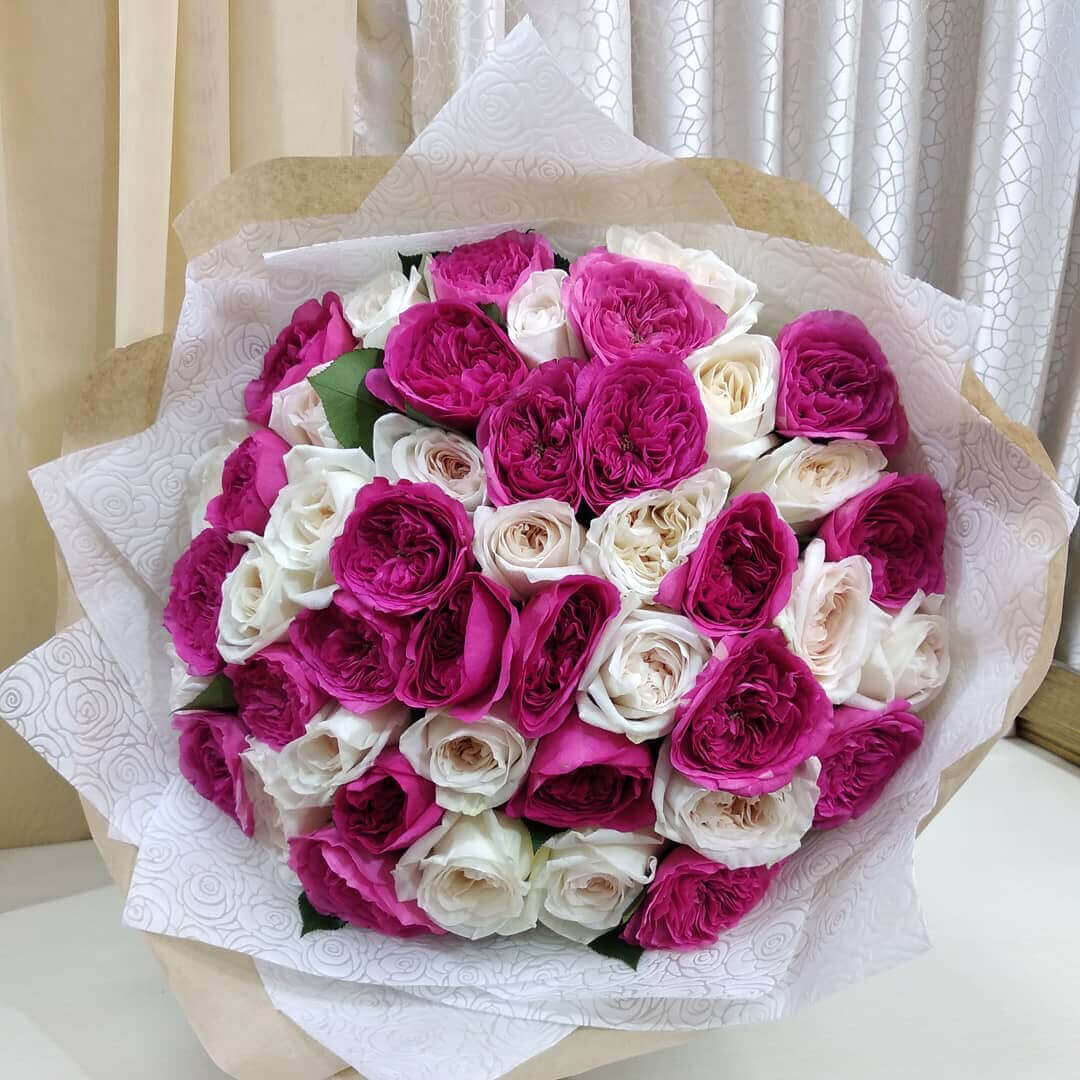 55 бело-розовых пионовидных роз