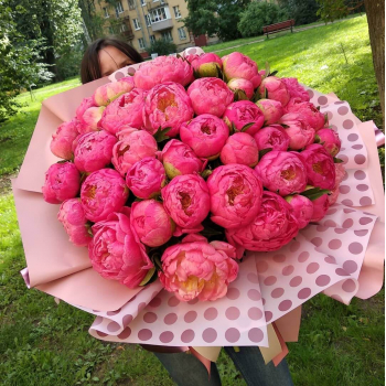 51 коралловый пион в букете