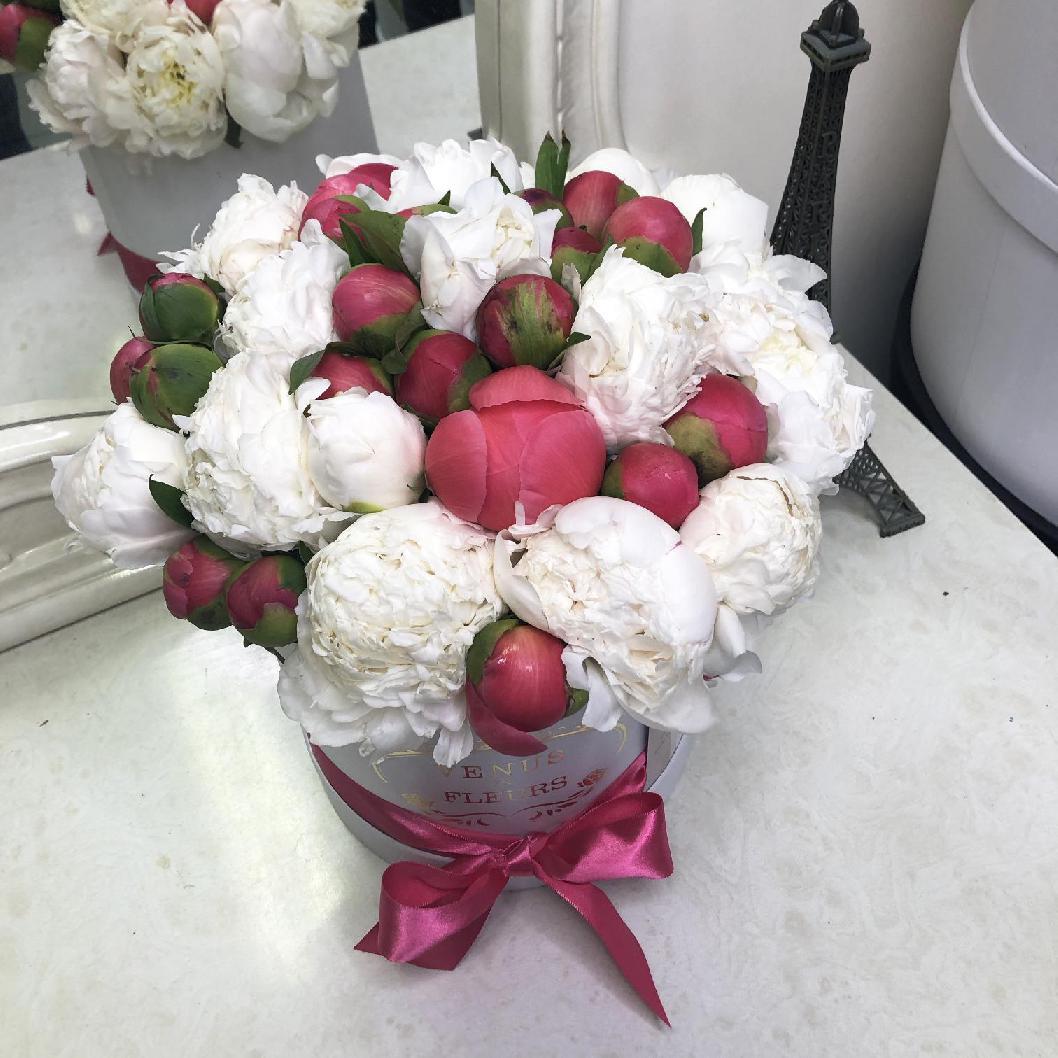 25 бело-коралловых пионов в коробке