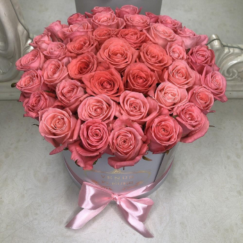 25 ярко-розовых роз в коробке 25 ярко-розовых роз в коробке
