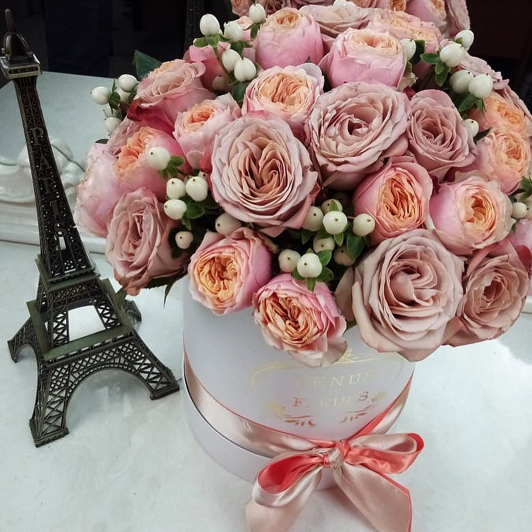 25 кофейных пионовидных роз в коробке