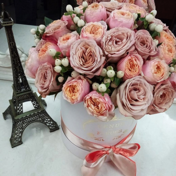 25 кофейных пионовидных роз в коробке 25 кофейных пионовидных роз в коробке