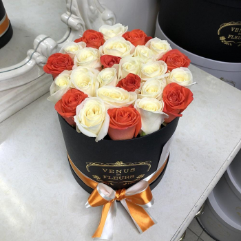 31 бело-коралловая роза в коробке