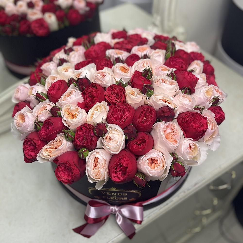 101 пионовидная роза в коробке