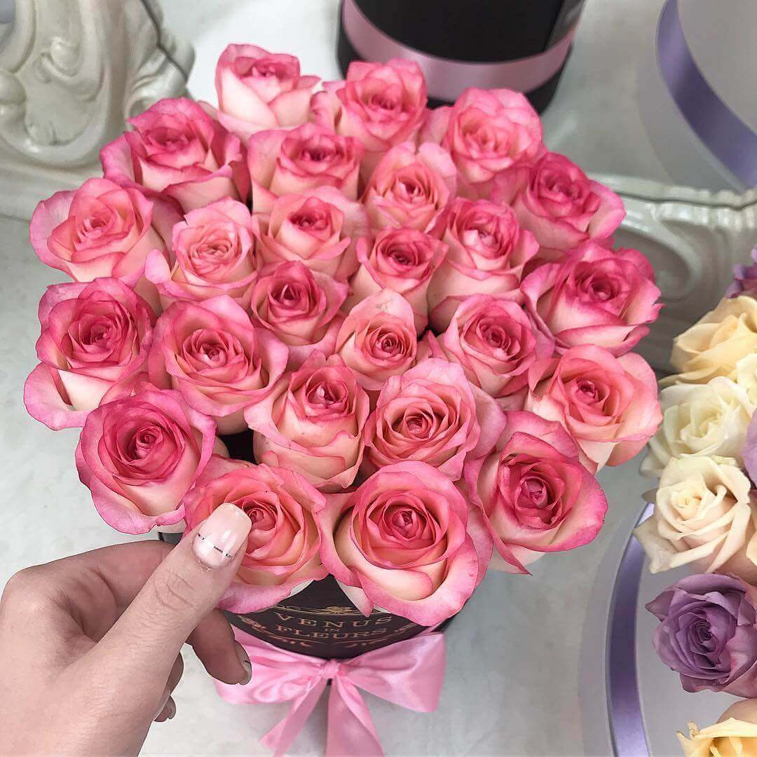 15 розовых роз в коробке