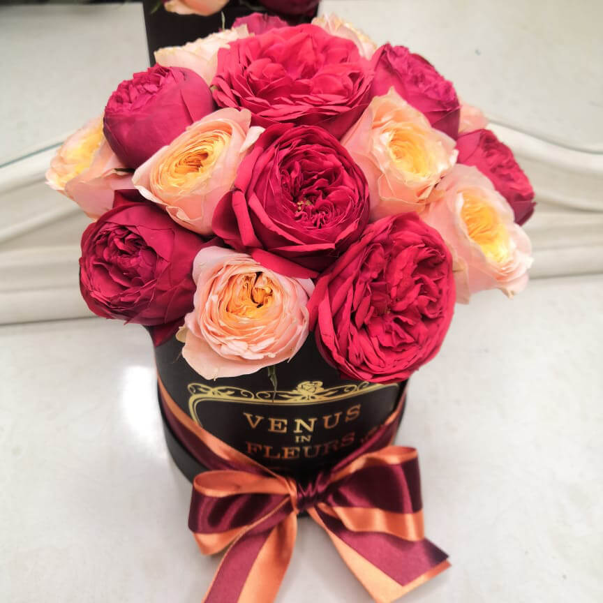 15 красно-розовых пионовидных роз в коробке