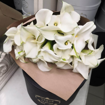 15 калл в букете 15 калл в букете