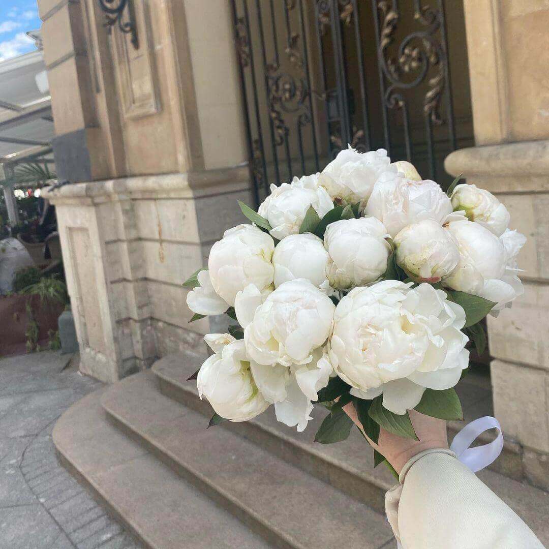 15 белых пионов