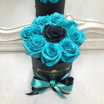 11 бирюзовых с черной в коробке