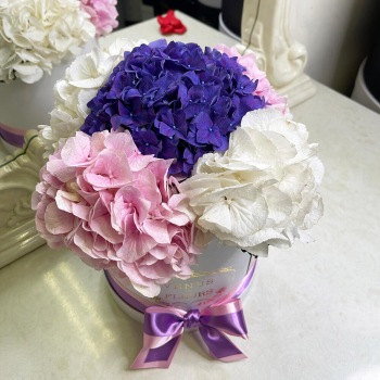 5 гортензий в коробке