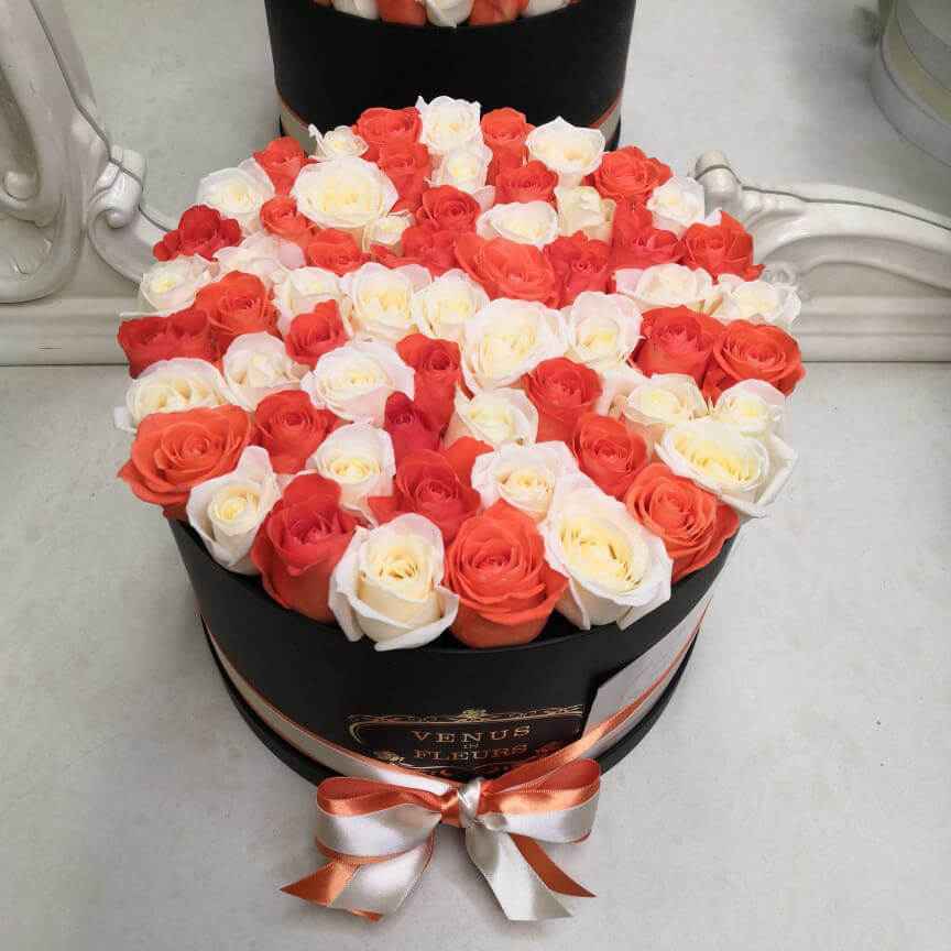 55 бело-коралловых роз в коробке