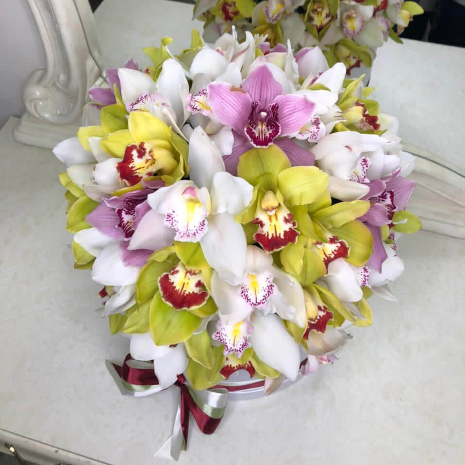 Разноцветные орхидеи от 51 шт.