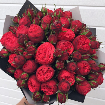 25 пионовидных роз в букете 25 пионовидных роз в букете