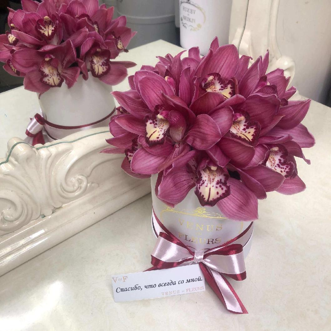 15 бордовых орхидей в коробке